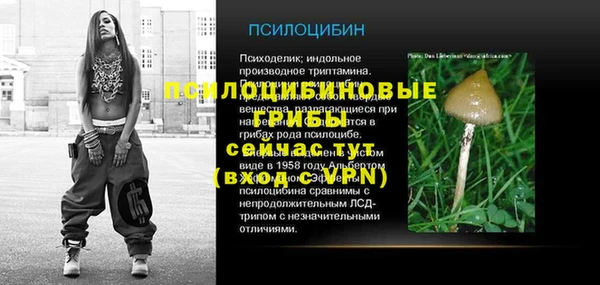 ГАЛЛЮЦИНОГЕННЫЕ ГРИБЫ Семёнов