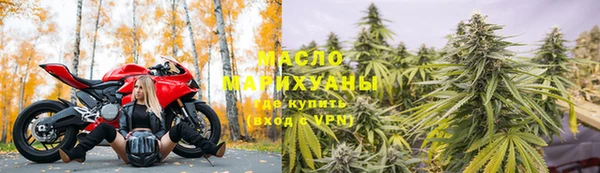дмт Алексин