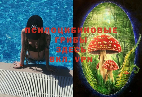 mdpv Алзамай