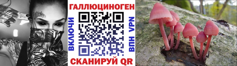 Псилоцибиновые грибы Cubensis  Краснознаменск 